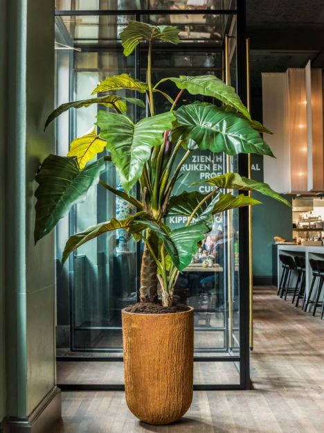 Bilde av MONSTERA KUNSTIG PLANTE PERTUSUM L H:140