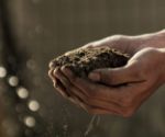 Bilde av Floralux  Plantejord 50 L