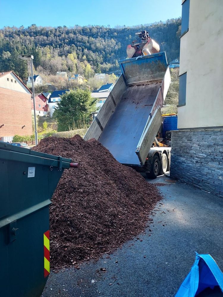 Dumper_Tipp